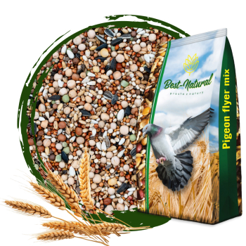Karma dla gołębi BEST NATURAL bez kukurydzy i pszenicy BK